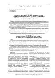МОРФОМЕТРИЧЕСКАЯ И МАТЕМАТИЧЕСКАЯ МОДЕЛИ УШНОЙ РАКОВИНЫ ДЕВУШЕК С БРАХИЦЕФАЛИЕЙ ЧЕРЕПА