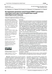 Исследование динамики концентрации BDNF в различных структурах мозга крыс после воздействия острой нормобарической гипоксии