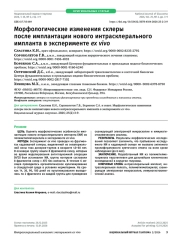 Морфологические изменения склеры после имплантации нового интрасклерального импланта в эксперименте ex vivo
