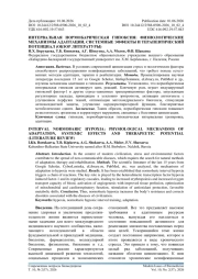 ИНТЕРВАЛЬНАЯ НОРМОБАРИЧЕСКАЯ ГИПОКСИЯ: ФИЗИОЛОГИЧЕСКИЕ МЕХАНИЗМЫ АДАПТАЦИИ, СИСТЕМНЫЕ ЭФФЕКТЫ И ТЕРАПЕВТИЧЕСКИЙ ПОТЕНЦИАЛ (ОБЗОР ЛИТЕРАТУРЫ)