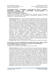 ФУНКЦИОНАЛЬНОЕ СОСТОЯНИЕ ЭРИТРОЦИТОВ ПОСЛЕ ЧЕРЕПНО-МОЗГОВОЙ ТРАВМЫ ПРИ КОРРЕКЦИИ ЦИТОФЛАВИНОМ И МОЛЕКУЛЯРНЫМ ВОДОРОДОМ