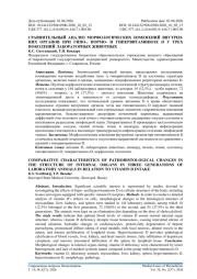 СРАВНИТЕЛЬНЫЙ АНАЛИЗ МОРФОЛОГИЧЕСКИХ ИЗМЕНЕНИЙ ВНУТРЕН-НИХ ОРГАНОВ ПРИ ГИПО-, НОРМО- И ГИПЕРВИТАМИНОЗЕ D У ТРЕХ ПОКОЛЕНИЙ ЛАБОРАТОРНЫХ ЖИВОТНЫХ