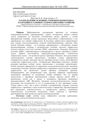 РАСПРЕДЕЛЕНИЕ ОСНОВНЫХ ГОРМОНОВ МОРФОГЕНЕЗА В ЗАРОДЫШАХ ХЛЕБНЫХ ЗЛАКОВ В ДИНАМИКЕ РАЗВИТИЯ