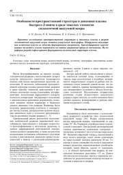 Особенности пространственной структуры и динамики плазмы быстрого Z-пинча в среде тяжелых элементов сильноточной вакуумной искры