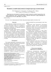 Влияние условий напыления на микроструктуру пленок индия