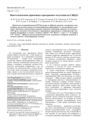 Многоэлементные приемники терагерцового излучения на CdHgTe