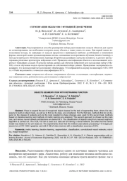 СЕГМЕНТАЦИЯ ОБЪЕКТОВ С ФУНКЦИЕЙ ДООБУЧЕНИЯ