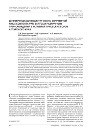 ДИФФЕРЕНЦИАЦИЯ КУЛЬТУР СОСНЫ СКРУЧЕННОЙ PINUS CONTORTA VAR. LATIFOLIA РАЗЛИЧНОГО ПРОИСХОЖДЕНИЯ В УСЛОВИЯХ ПРИОБСКИХ БОРОВ АЛТАЙСКОГО КРАЯ