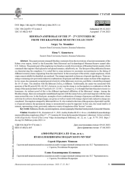 АМФОРЫ РОДОСА III-II ВВ. ДО Н.Э. ИЗ КОЛЛЕКЦИИ КРАСНОДАРСКОГО МУЗЕЯ