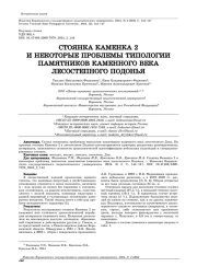 СТОЯНКА КАМЕНКА 2 И НЕКОТОРЫЕ ПРОБЛЕМЫ ТИПОЛОГИИ ПАМЯТНИКОВ КАМЕННОГО ВЕКА ЛЕСОСТЕПНОГО ПОДОНЬЯ