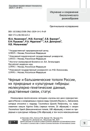Черные и бальзамические тополя России, их природные и культурные гибриды: молекулярно-генетические данные, родственные связи, статус