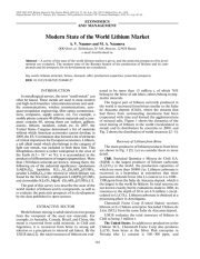 Modern State of the World Lithium Market