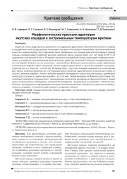 Морфологические признаки адаптации якутских лошадей к экстремальным температурам Арктики
