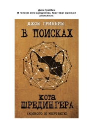 В поисках кота Шредингера