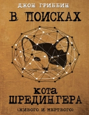 В поисках кота Шредингера (живого и мертвого)