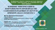 Микоризация сельхозкультур