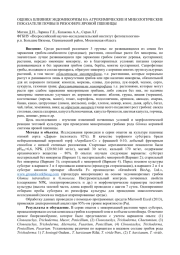 Применение грибов-гломеромицетов (эндомикориза) в сельском хозяйстве