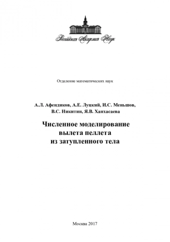 ЧИСЛЕННОЕ МОДЕЛИРОВАНИЕ ВЫЛЕТА ПЕЛЛЕТА ИЗ ЗАТУПЛЕННОГО ТЕЛА