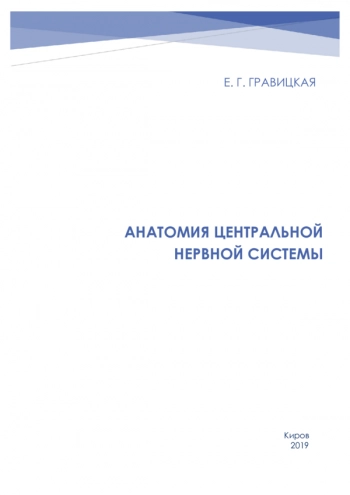АНАТОМИЯ ЦЕНТРАЛЬНОЙ НЕРВНОЙ СИСТЕМЫ
