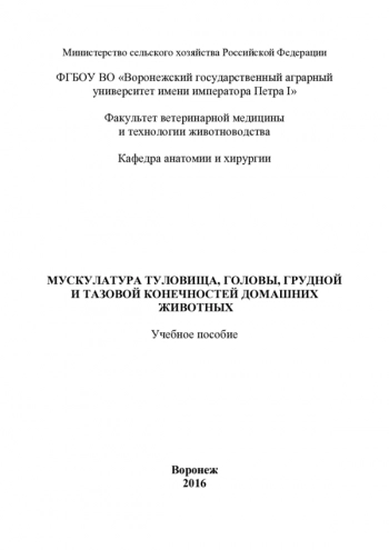 МУСКУЛАТУРА ТУЛОВИЩА, ГОЛОВЫ, ГРУДНОЙ И ТАЗОВОЙ КОНЕЧНОСТЕЙ ДОМАШНИХ ЖИВОТНЫХ