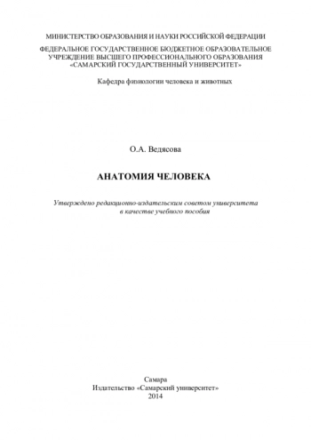 АНАТОМИЯ ЧЕЛОВЕКА