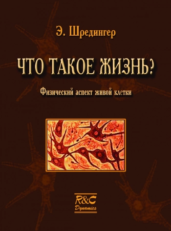 Что такое жизнь? Физический аспект живой клетки.