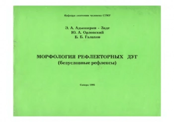 Морфология рефлекторных дуг