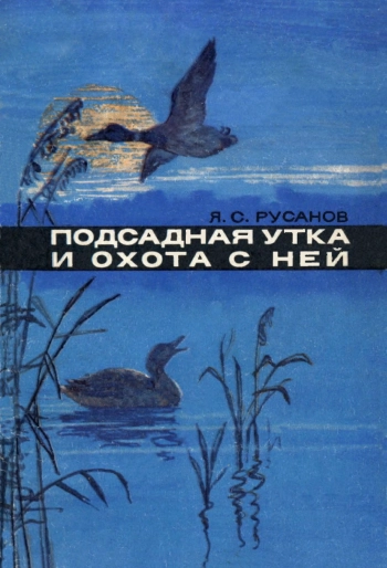 Подсадная утка и охота с ней