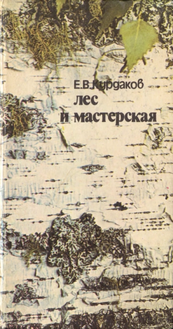 Лес и мастерская