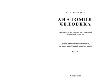 Анатомия человека