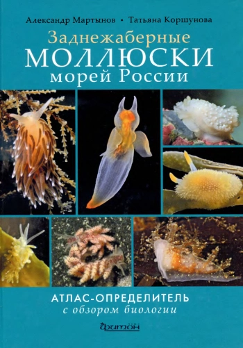 Заднежаберные моллюски морей России