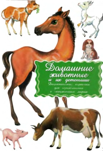 Домашние животные и их детёныши