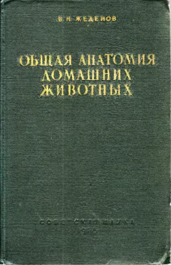Общая анатомия домашних животных