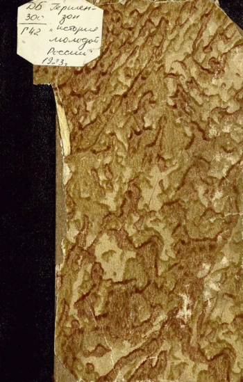 История молодой России