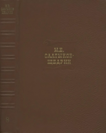 История одного города: 1869-1870