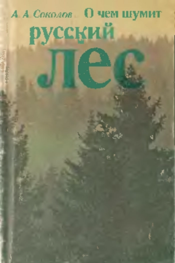 О чём шумит русский лес