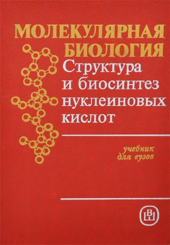 Молекулярная биология: структура и биосинтез нуклеиновых кислот
