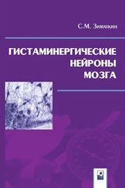 Гистаминергические нейроны мозга