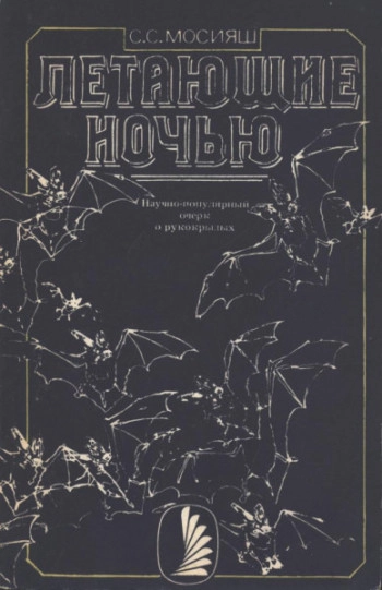 Летающие ночью