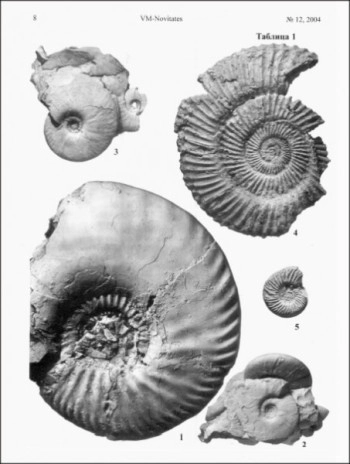 Верхний байос и нижний бат в окрестностях Саратова