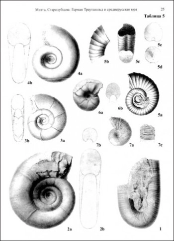 Герман Траутшольд и его вклад в изучение среднерусской юры