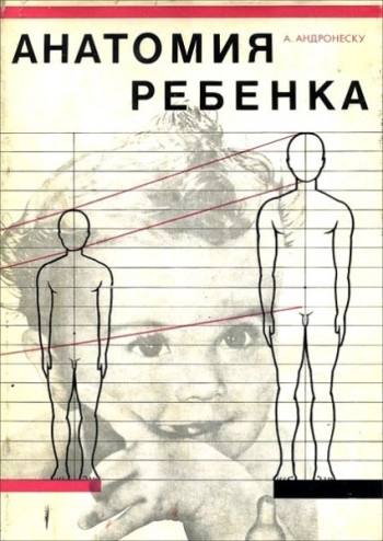 Анатомия ребёнка