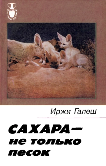 Сахара - не только песок