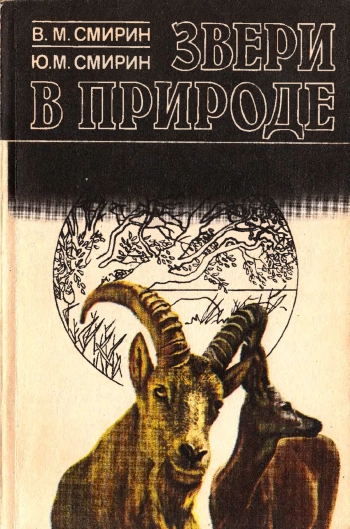 Звери в природе