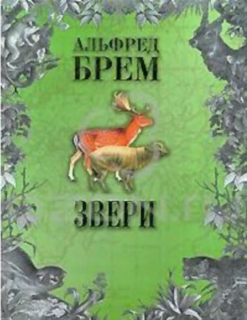Звери. T. 2