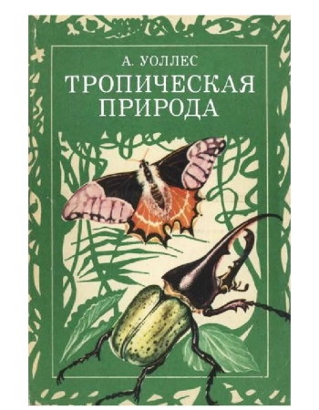 Тропическая природа