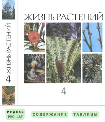 Жизнь растений. Т. 4