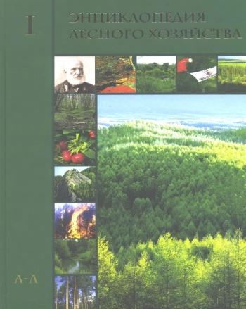 Энциклопедия лесного хозяйства. Том 1