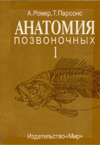 Анатомия позвоночных. В 2 томах. Том 1