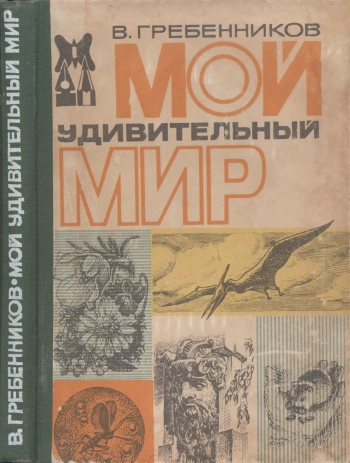 Мой удивительный мир